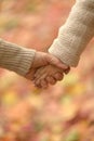 Granddaughter and grandmother holding hands close up Royalty Free Stock Photo