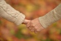 Granddaughter and grandmother holding hands close up Royalty Free Stock Photo