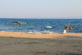 Grande Beach on Saroz Gulf Royalty Free Stock Photo