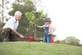 Grandfather and child planting tree in park family togetherness Royalty Free Stock Photo