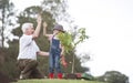 Grandfather and child planting tree in park family togetherness Royalty Free Stock Photo