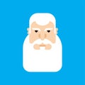 Grandfather face isolated. Granddad head Gray beard vector illustration