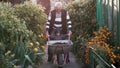 Grandfather with grand son working in the garden riding the wheelbarrow. Old man helping little boy outdoor. 4K Royalty Free Stock Photo