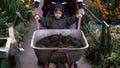 Grandfather with grand son working in the garden riding the wheelbarrow. Old man helping little boy outdoor. 4K Royalty Free Stock Photo