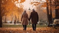 grandfather and grandmother walks in park. Back view. Hold hands