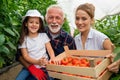 Grandfather growing organic fresh vegetables with grandchildren and family at family farm Royalty Free Stock Photo