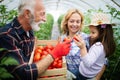 Grandfather growing organic vegetables with grandchildren and family at farm Royalty Free Stock Photo