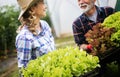 Grandfather growing organic vegetables with grandchildren and family at farm Royalty Free Stock Photo