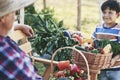 Grandfather and grandson with baskets full of seasonal vegetables