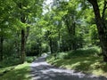 Grandfather Mountain State Park Hiking Trail In the Woods In North Carolina Royalty Free Stock Photo