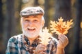 Grandfather relaxing in autumn park. Happy senior man. Active senior man having fun and playing with the leaves in Royalty Free Stock Photo