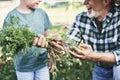 Close up of grandfather showing vegetables to grandson