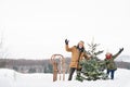 Grandfather and small girl getting a Christmas tree in forest.