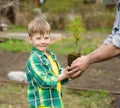 Grandfather transmits to his grandson cedar sapling Royalty Free Stock Photo