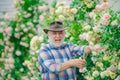 Grandfather working in garden over roses background. Flower care and watering. Happy gardener with spring flowers.