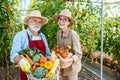 Grandfather and young woman with vegetable harvest