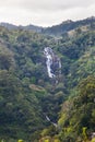 Grandiose unusually beautiful waterfall in the green jungle of the island of Sri Lanka. Overall plan. Ella. Vertical frame