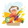 Grandma with a basket full of vegetables. The happy old woman has gathered the harvest. Grandmother garden offers