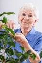 Grandma caring for a plant