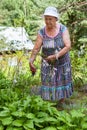 Grandma cutting flowers with trimmer in garden