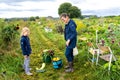 Grandma and granddaughter are happy about the rich vegetable harvest from their own allotment despite the bad weather conditions