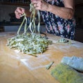 Grandma preparing fresh nettle flavoured tagliatelle