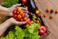 A basket with beautiful fresh vegetables. Royalty Free Stock Photo