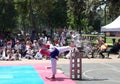 Grandmaster Tae Kwon Do / Taekwondo martial arts public demonstration at Rengstorff Park in Mountain View California in 2015 Royalty Free Stock Photo