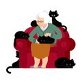 Grandmother and cat sitting on chair. granny cat lady. grandma a Royalty Free Stock Photo