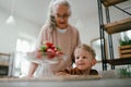 Grandmother giving homegrown strawberries to her little grandson.