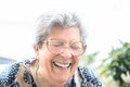 Grandmother with glasses and gray hair very happy smiling with denture Royalty Free Stock Photo