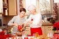 Grandmother with grandchild in kitchen, christmas.