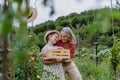 Grandmother with granddaughter with crate full of vegetables. Concept of importance of grandparents - grandchild Royalty Free Stock Photo