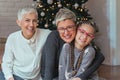 Grandmother and granddaughter decorating a Christmas treeFamily gathered around a Christmas tree, female generations