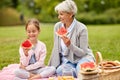 Grandmother and granddaughter at picnic in park Royalty Free Stock Photo