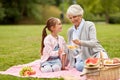 Grandmother and granddaughter at picnic in park Royalty Free Stock Photo