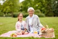 Grandmother and granddaughter at picnic in park Royalty Free Stock Photo