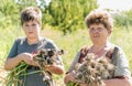 Grandmother with grandson harvested garlic harvest in garden Royalty Free Stock Photo