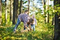 Grandmother and her girls picking mushrooms Royalty Free Stock Photo