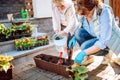 Grandmother with her little granddaughter gardening in a backyard. Different generation. Grandmawith and granddaughter planting