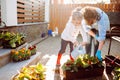 Grandmother with her little granddaughter gardening in a backyard. Different generation. Grandmawith and granddaughter planting