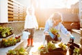 Grandmother with her little granddaughter gardening in a backyard. Different generation. Grandmawith and granddaughter planting Royalty Free Stock Photo