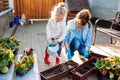 Grandmother with her little granddaughter gardening in a backyard. Family ang different generation. Grandmawith and granddaughter Royalty Free Stock Photo