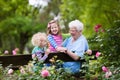 Grandmother and kids sitting in rose garden Royalty Free Stock Photo