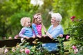 Grandmother and kids sitting in rose garden Royalty Free Stock Photo