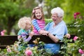 Grandmother and kids sitting in rose garden Royalty Free Stock Photo