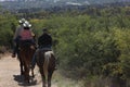 Grandmother mother daughter ride