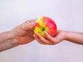 Grandmother treats her granddaughter with an apple.