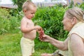 Grandmother treats her grandson with strawberries in her country house garden,