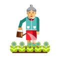 Grandmother watering flowers in the garden on white.